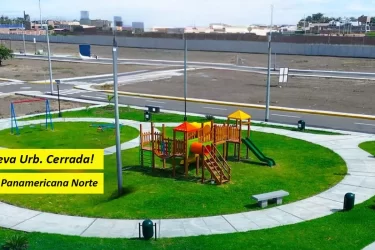 LAS PALMERAS DE CHOSICA